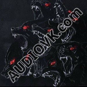 NextRO - Chauris VIP