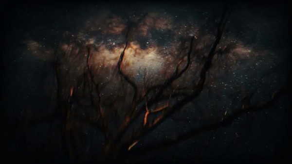Aster Storm - Aster Storm - Own Viqo