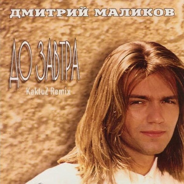Дмитрий Маликов - До завтра (KaktuZ Remix)