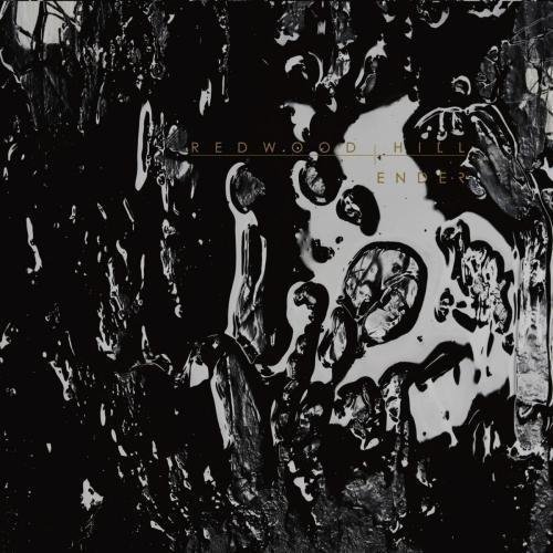 Redwood Hill - Singularity