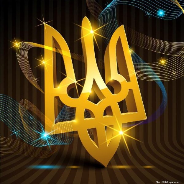 Бійці АТО - Дорога на схід