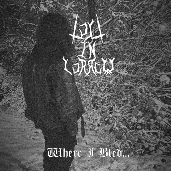 lost in sorrow - ...a Rose Grew