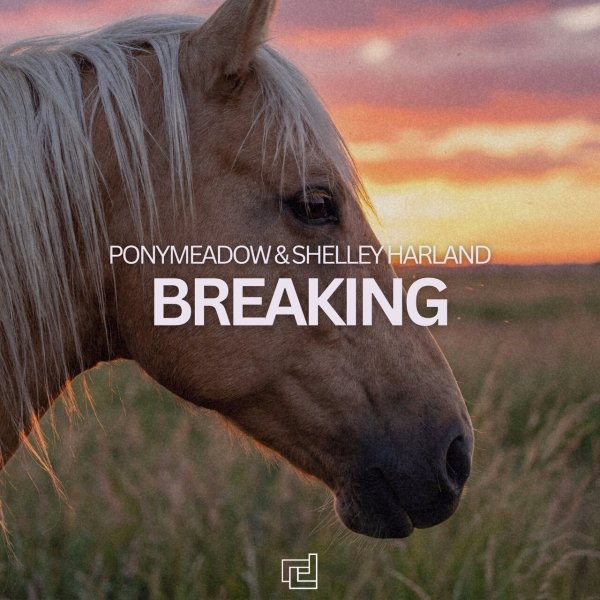 Ponymeadow, Shelley Harland - Breaking