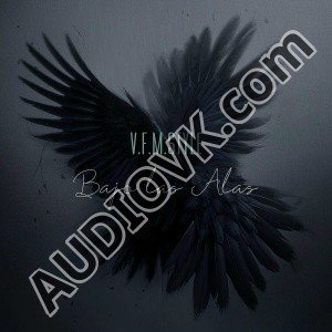 V.F.M.style - Bajo las Alas