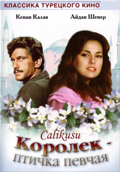 Фильм - Королёк птичка певчая