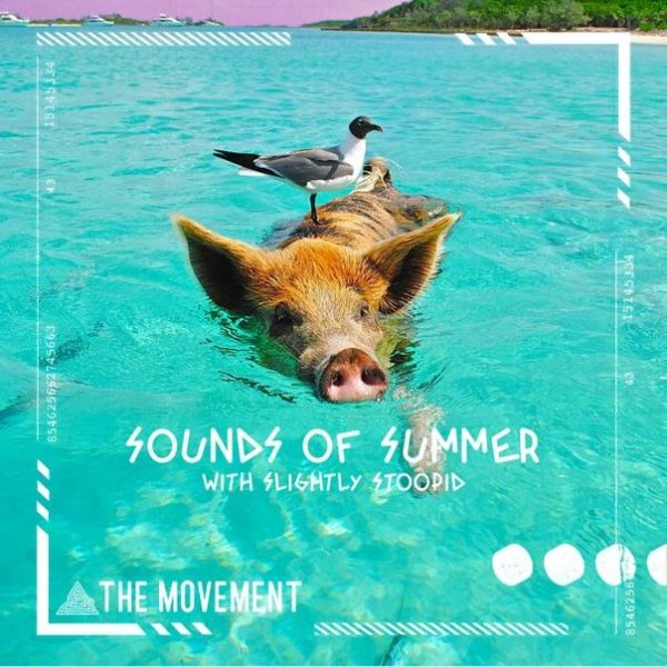 The Movement &amp; Slightly Stoopid - Sounds Of Summer