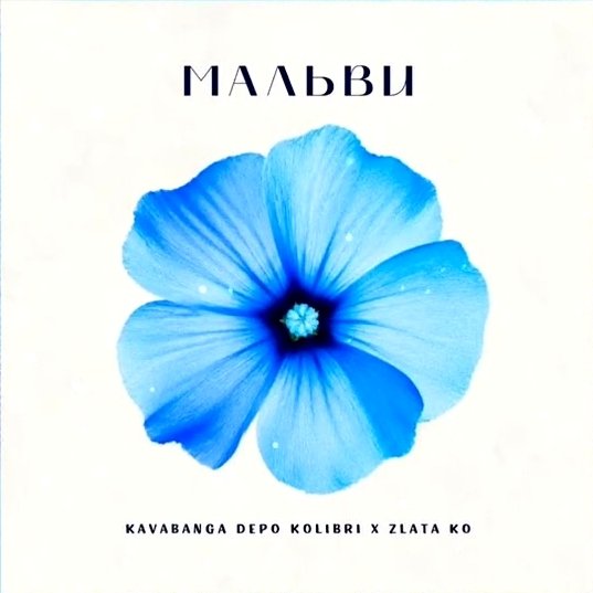 kavabanga Depo kolibri, Zlata Ko - Мальви
