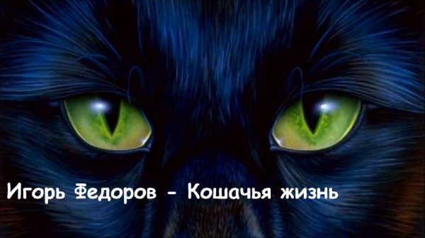 Федоров Игорь - Кошачья жизнь