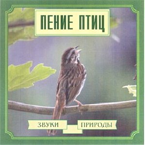 6 - Жаворонок полевой