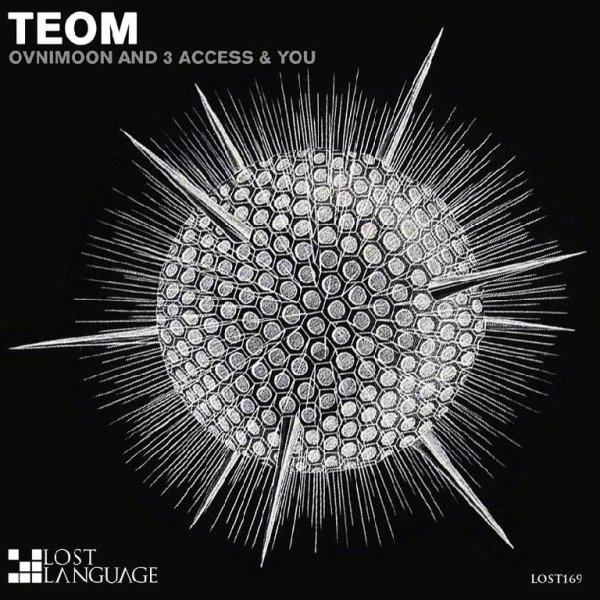 Ovnimoon; 3 Access &amp; You - TEOM