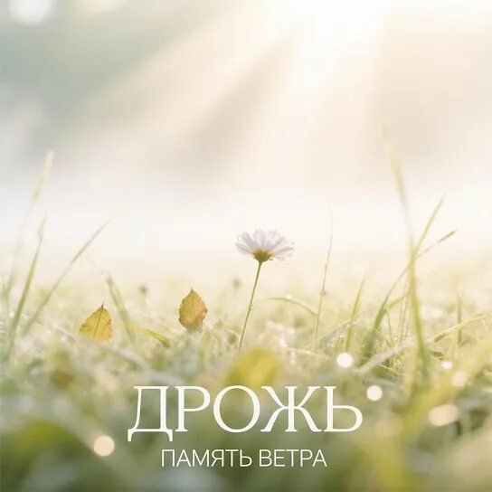 Память ветра - Дрожь
