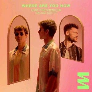 Lost Frequencies &amp; Calum Scott - Where Are You Now