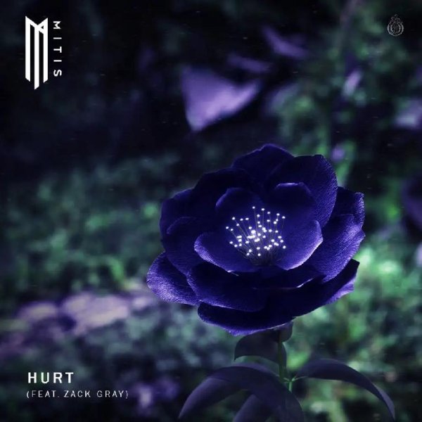 Mitis - Hurt (feat. Zack Gray)