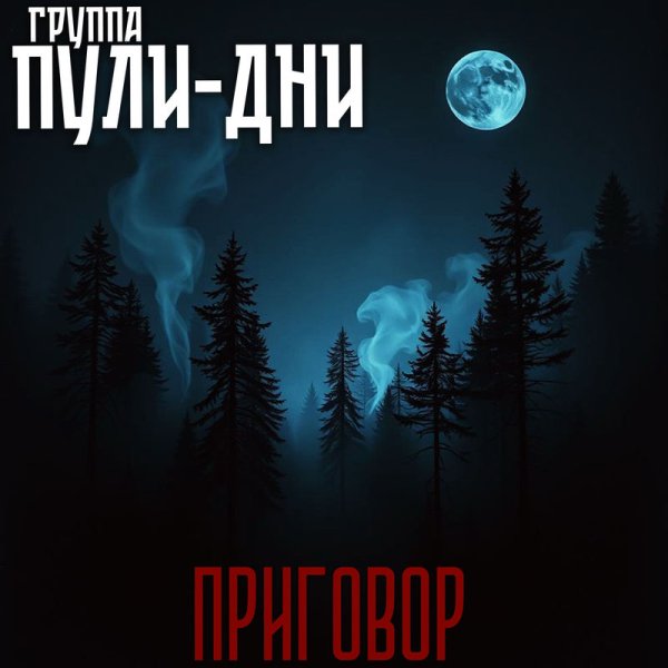 Группа Пули-Дни - Понятий нет