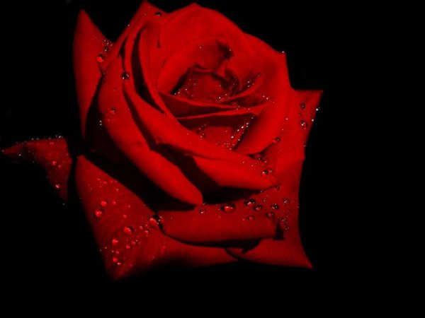 Elton John feat Dua Lipa Cold Heart(ps1 remix) - Elton John feat Dua Lipa Cold Heart