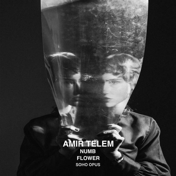 Amir Telem - Flower (Extended Mix)