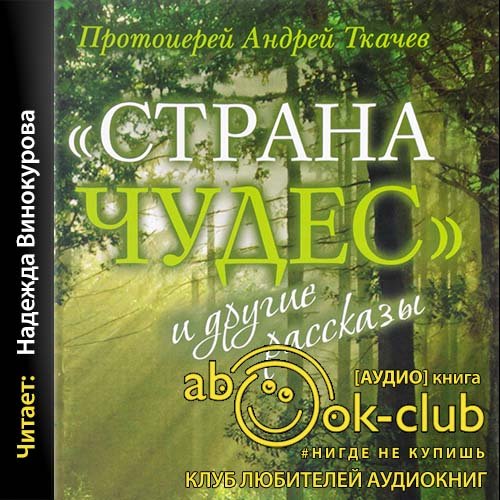 Протоиерей Андрей Ткачёв - Кирпич