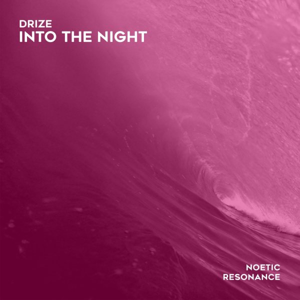 DRize - Into The Night (Mainfloor Edit)