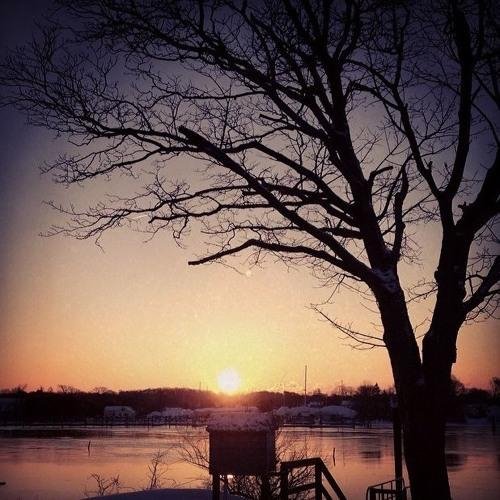 Joe Alexander Shepherd - Wednesday