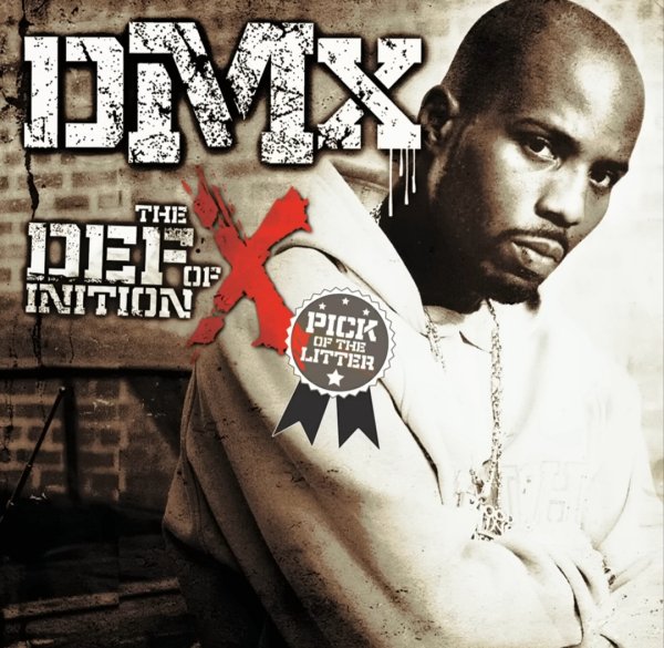 DMX - Party Up