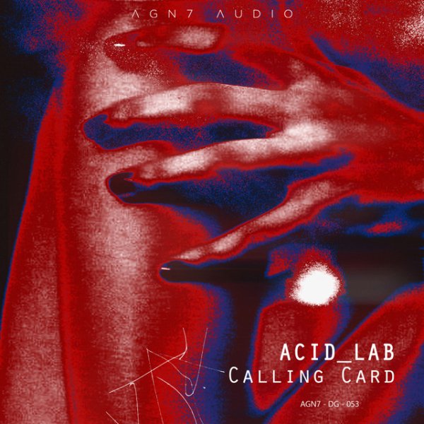 Acid Lab - Past Echoes