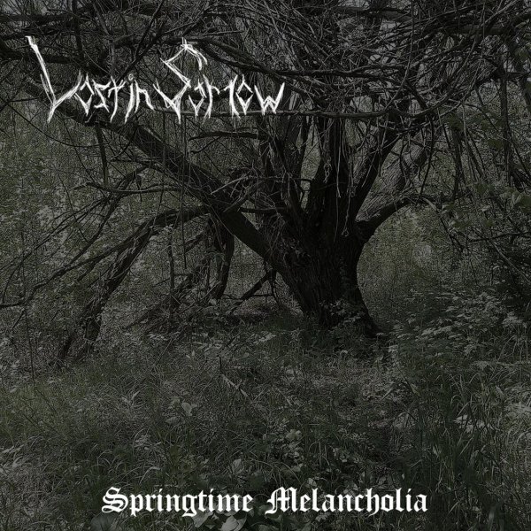 Lost in Sorrow - Rasarit
