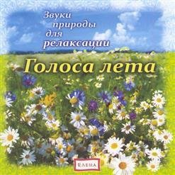 VA - На опушке