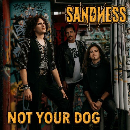 Sandness - Not Your Dog
