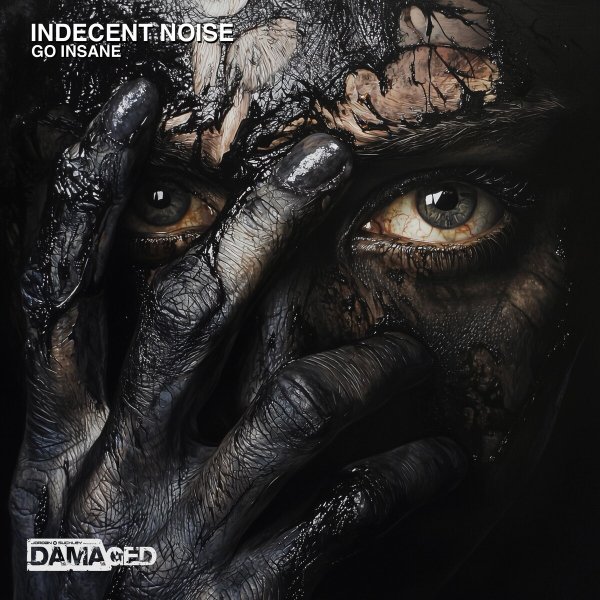 Indecent Noise - Go Insane (Extended Mix)
