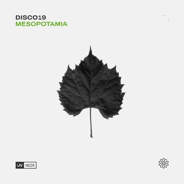 DISCO19 - Mesopotamia