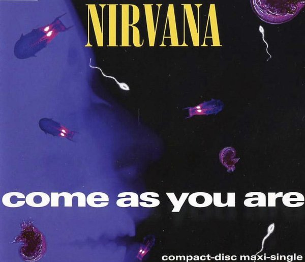 Nirvana - Come As You Are LP Version