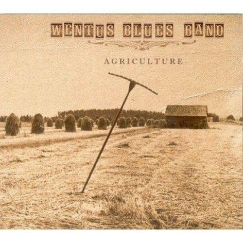 Wentus Blues Band - Here in the Night