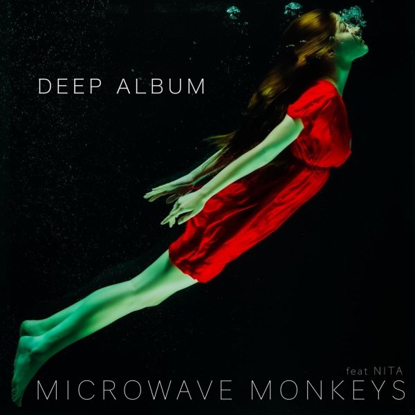 Microwave Monkeys feat.  Nita - Circle in the Sand(Radio Edit)