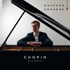 Gaspard Dehaene, Фридерик Шопен - Nocturne No.20 in C-Sharp Minor, Op. posth.