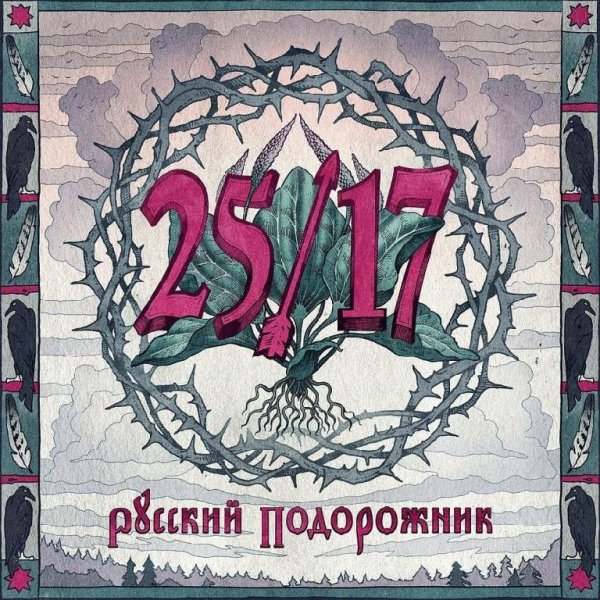 25/17 new 2014 - Волчонок