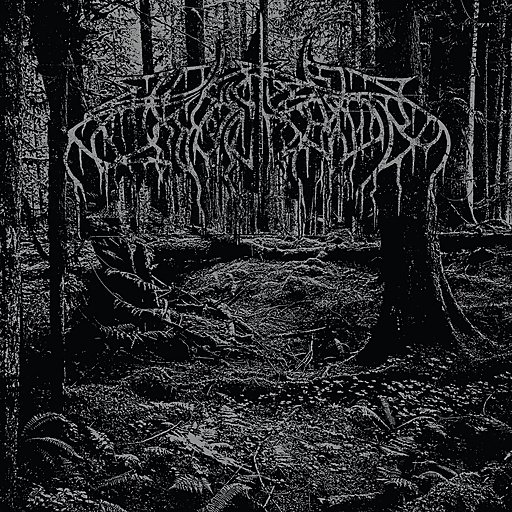 Wolves In The Throne Room - (A Shimmering Radiance) Diadem Of Twelve Stars
