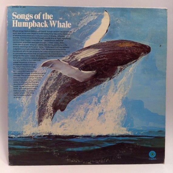 Dr. Roger S. Payne - Humpbacks: Left Over Sea Runnin
