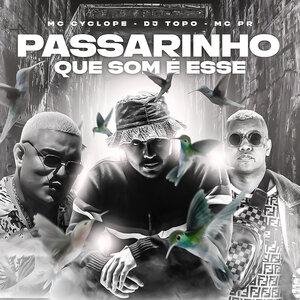 DJ Topo, MC PR, MC Cyclope - Passarinho Que Som É Esse