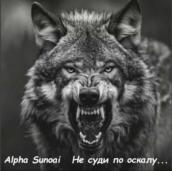 Alpha SunoAi - Не суди по оскалу ... 2026