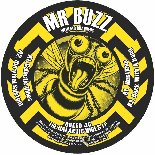 Mr Buzz feat. Mr Bradders - Back With A Bang