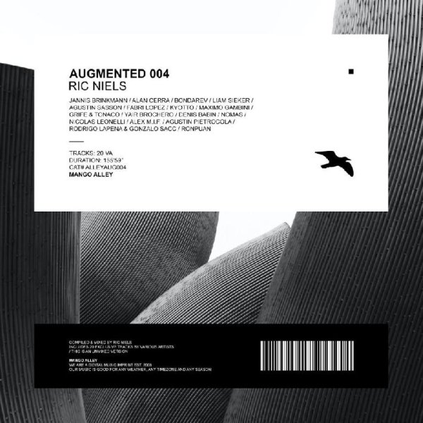 Ric Niels - Augmented Intro (Original Mix)