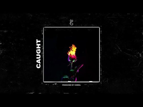Cobra. - Caught