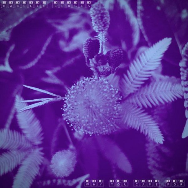 Marcelo Berges - deep pool swim