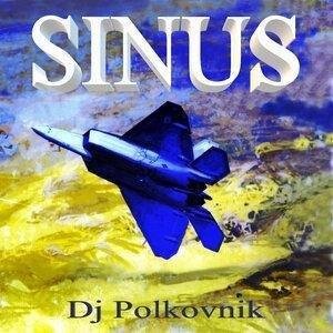 Dj Polkovnik - Русская гармошка