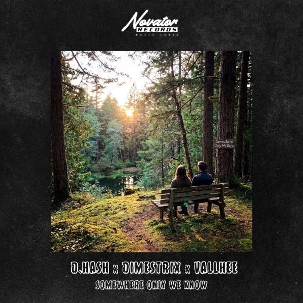 D.HASH &amp; DIMESTRIX &amp; Vallhee - Somewhere Only We Know