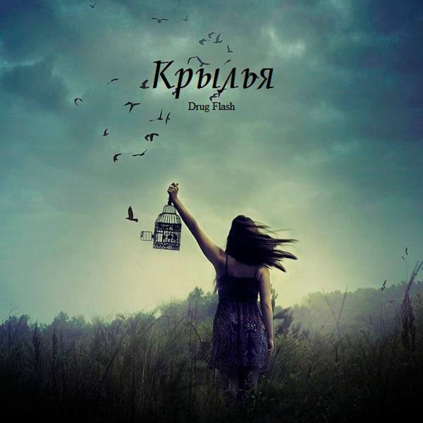 Drug Flash - Крылья