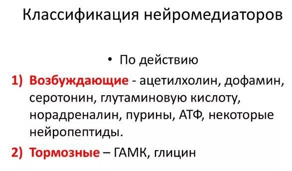 Зачем нам нужны нейромедиаторы - Организм