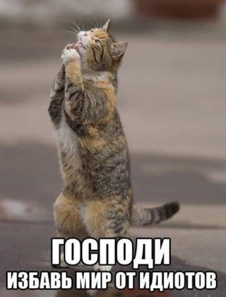 Бутырка. - А для вас я никто...