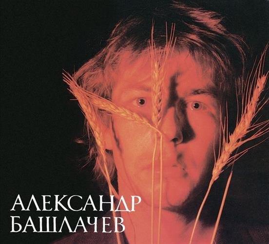 Александр Башлачёв - Музыкант