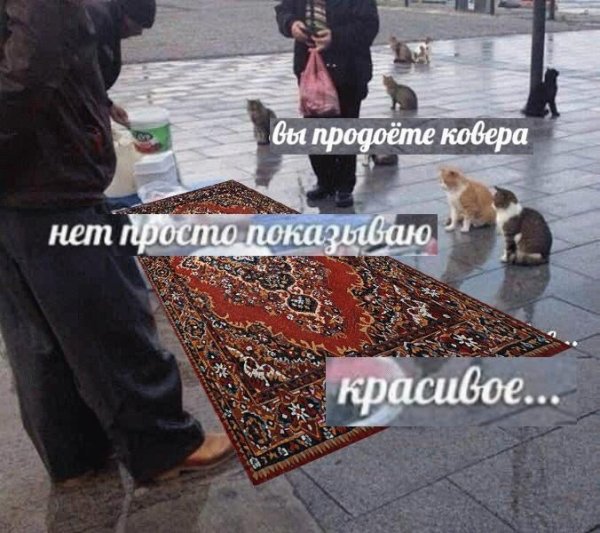 EVO - Люби меня, люби